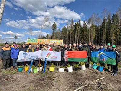 Лес! Добро! Порядок!